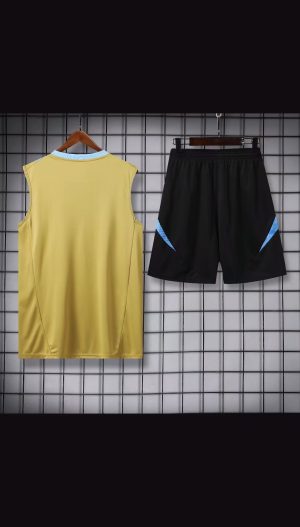 2024 Argentina Pre-match Training Glod Jersey+Shorts 1:1 Thai Quality