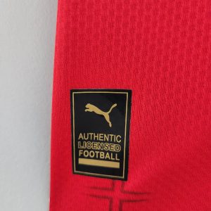 2022 FIFA World Cup Serbia Home Soccer Shirt