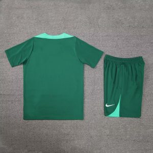 2024 Portugal Pre-match Training Green Shirt+Shorts 1:1 Thai Quality