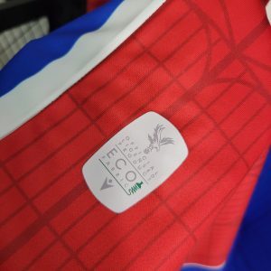 2023/2024 Crystal Palace Home Football Shirt 1:1 Thai Quality