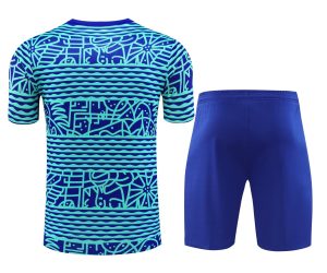 2024 Brazil Pre-match Training Blue Pattern Shirt+Shorts 1:1 Thai Quality