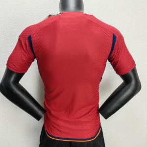 2022 FIFA World Cup Player Version Spain Home Soccer Shirt