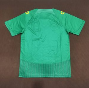 2023/2024 Cameroon National Team Home Shirt