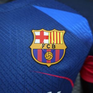 2024/2025 Player Version Barcelona Special Edition Jersey 1:1 Thai Quality