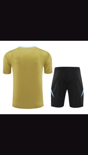 2024 Argentina Pre-match Training Glod Shirt+Shorts 1:1 Thai Quality