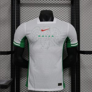 2024 Player Version Nigeria National Team Home Football Shirt 1:1 Thai Quality