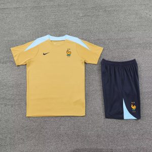 2024 France pre-match training Glod Shirt+Shorts 1:1 Thai Quality