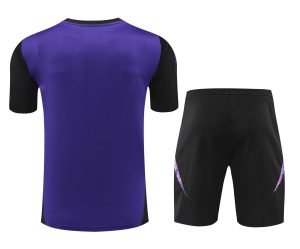 2024 Germany pre-match training Purple Shirt+Shorts 1:1 Thai Quality