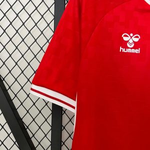 2024 Denmark National Team Home Football Shirt 1:1 Thai Quality