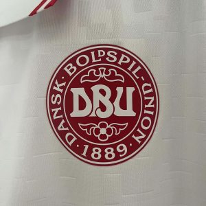 2024 Denmark National Team Away Football Shirt 1:1 Thai Quality